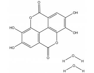 Ellagic acid dihydrate